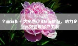 全面解析十大免费CRM系统推荐，助力企业高效管理客户关系