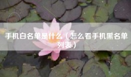手机白名单是什么（怎么看手机黑名单列表）