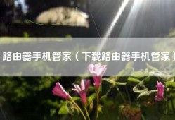 路由器手机管家（下载路由器手机管家）