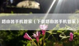 路由器手机管家（下载路由器手机管家）