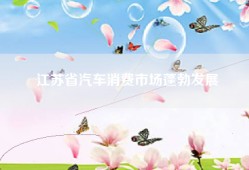 江苏省汽车消费市场蓬勃发展