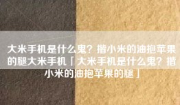 大米手机是什么鬼？揩小米的油抱苹果的腿大米手机「大米手机是什么鬼？揩小米的油抱苹果的腿」