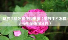 魅族手机怎样连接电脑（魅族手机怎样连接电脑传输文件）