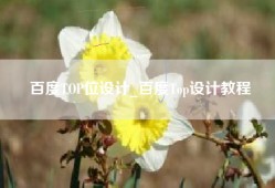 百度TOP位设计_百度Top设计教程