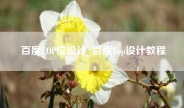 百度TOP位设计_百度Top设计教程