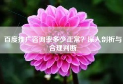 百度推广咨询率多少正常？深入剖析与合理判断