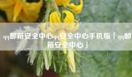 qq邮箱安全中心qq安全中心手机版「qq邮箱安全中心」