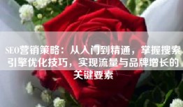 SEO营销策略：从入门到精通，掌握搜索引擎优化技巧，实现流量与品牌增长的关键要素