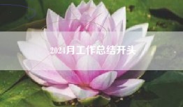 2024月工作总结开头