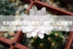 类似我某店生活模式：微三云众店模式异业联盟积分增值解决方案