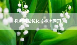 株洲网站优化（株洲网页）