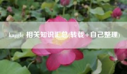 kaggle 相关知识汇总(转载+自己整理)