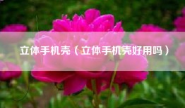 立体手机壳（立体手机壳好用吗）