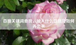 百度关键词查找，输入什么信息及如何弄出来