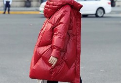 河南焦作桑坡村大鹅羽绒服多少钱