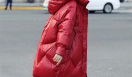 河南焦作桑坡村大鹅羽绒服多少钱