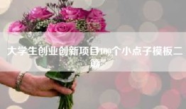 大学生创业创新项目100个小点子模板二篇
