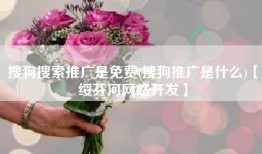 搜狗搜索推广是免费(搜狗推广是什么)【绥芬河网站开发】