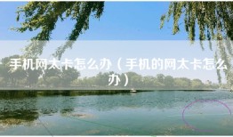 手机网太卡怎么办（手机的网太卡怎么办）