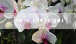 闪电手机（闪电手机壁纸）