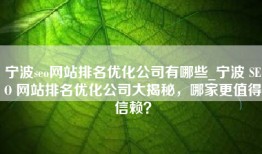 宁波seo网站排名优化公司有哪些_宁波 SEO 网站排名优化公司大揭秘，哪家更值得信赖？