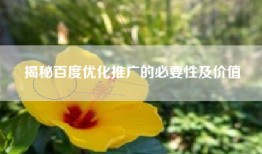 揭秘百度优化推广的必要性及价值