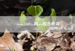www.5588.tv的seo综合查询