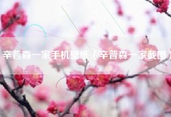 辛普森一家手机壁纸（辛普森一家截图）
