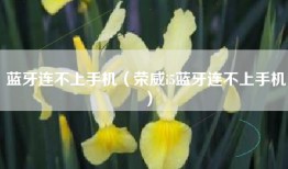 蓝牙连不上手机（荣威i5蓝牙连不上手机）
