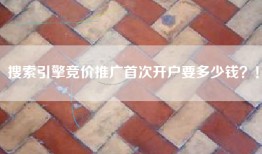 搜索引擎竞价推广首次开户要多少钱？！