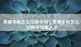 苹果手机怎么切换手写（苹果手机怎么切换手写输入）