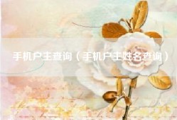 手机户主查询（手机户主姓名查询）