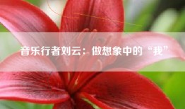 音乐行者刘云：做想象中的“我”
