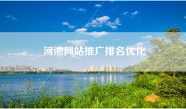 河池网站推广排名优化