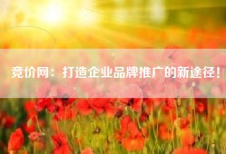竞价网：打造企业品牌推广的新途径！