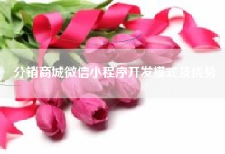 分销商城微信小程序开发模式及优势