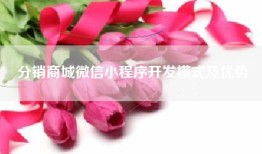 分销商城微信小程序开发模式及优势