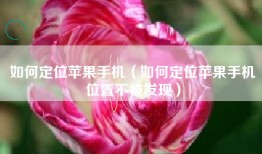如何定位苹果手机（如何定位苹果手机位置不被发现）