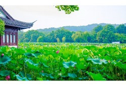 湖南衡阳房价最新消息深度解析