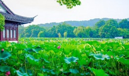 湖南衡阳房价最新消息深度解析