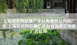 上海知名网站推广平台有哪些公司做广告(上海知名网站推广平台有哪些公司做广告宣传)