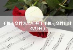 手机caj文件怎么打开（手机caj文件用什么打开）