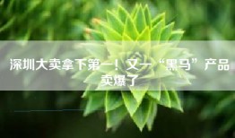 深圳大卖拿下第一！又一“黑马”产品卖爆了