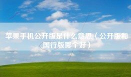 苹果手机公开版是什么意思（公开版和国行版哪个好）