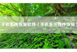 手机系统恢复软件（手机系统程序恢复）