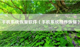 手机系统恢复软件（手机系统程序恢复）
