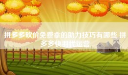 拼多多砍价免费拿的助力技巧有哪些 拼多多快羽代运营