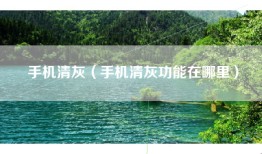 手机清灰（手机清灰功能在哪里）