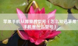苹果手机从哪里看型号（怎么知道苹果手机是什么型号）