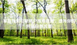 掌握搜索引擎用户搜索意图，提升你的网站自然流量